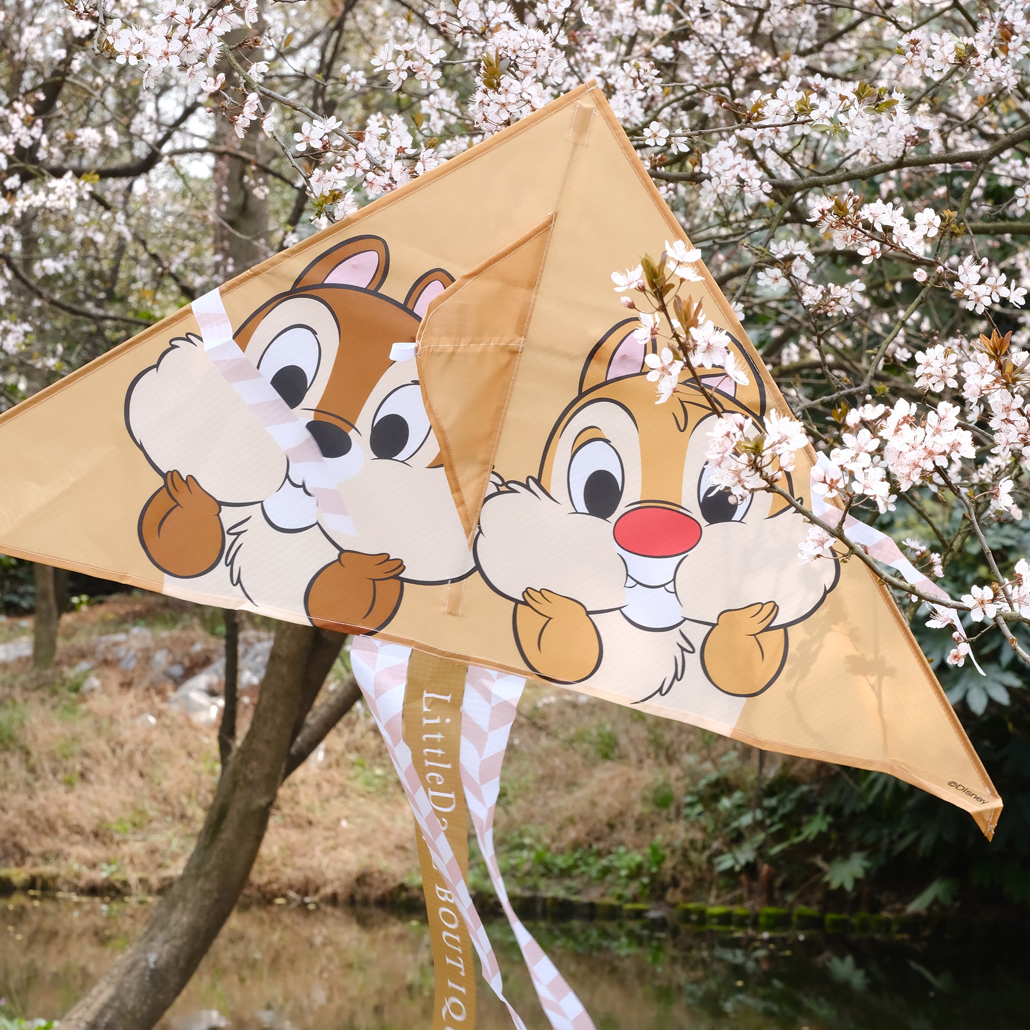 Chip'n'Dale Kite